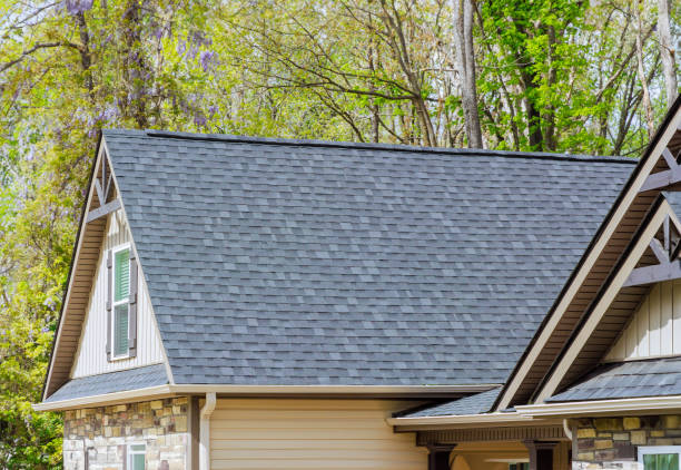 Best Roof Coating and Sealing  in North Springfield, VA