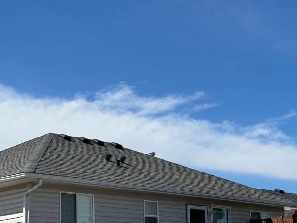 Best Roof Leak Repair  in North Springfield, VA